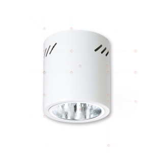 Đèn downlight gắn nổi PSDOO132L10