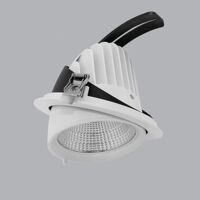 Đèn Downlight MPE DLA-12N