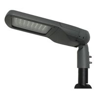 Đèn đường LED Roman ELW2008/100W