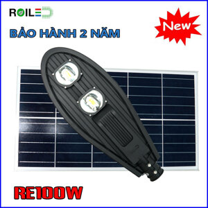 Đèn đường Roiled RE100W