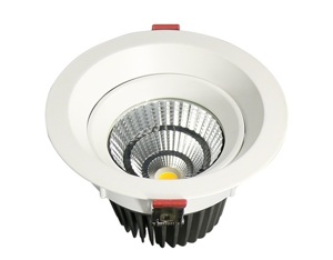 Đèn led âm trần VinaLED DL-SW20 - 20W