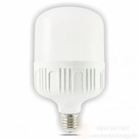 Đèn led Bulb 38W E27