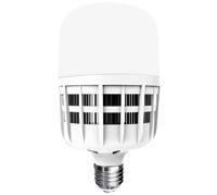 Đèn LED Bulb công suất lớn Điện Quang ĐQ LEDBU09 25765