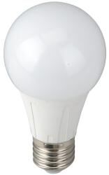 Đèn LED bulb PNM 12W