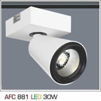 Đèn led chiếu điểm Anfaco AFC-881 - 30W