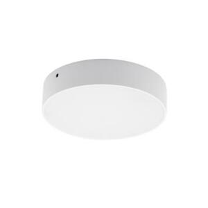 Đèn LED Downlight 30W gắn nổi tràn viền PSDQQ225L30 Paragon