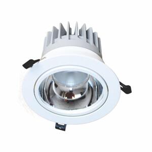 Đèn led downlight chiếu điểm âm trần Duhal DFA0402 - 40W