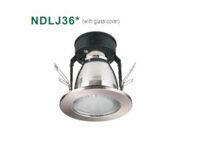 Đèn LED Downlight NVC NDLJ3635-ACB 19
