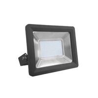 Đèn LED FLD2-100T