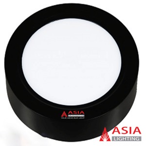 Đèn Led ốp nổi tròn 12W Asia PNOT12D