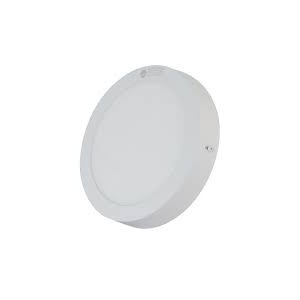 Đèn LED ốp trần tròn cảm biến Rạng Đông D LN09L 170/12W RAD SS