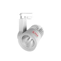 đèn led rọi ray 20W đổi màu ASIA RD20-01DM