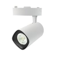 Đèn LED rọi ray trong nhà Roman ELC3006W,B/10D