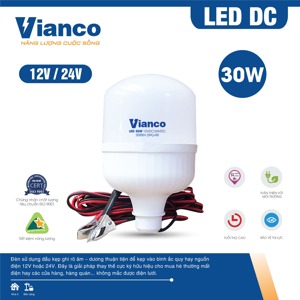 Đèn led trụ DC Vianco DC2VA - 30W