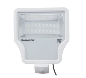 Đèn pha LED cảm ứng FL1S-100W