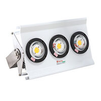 Đèn pha led đánh cá Rạng Đông D DC04L/300W