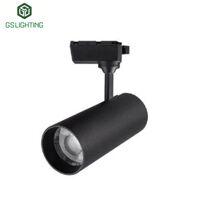 Đèn rọi ray 10w GSlighting GTC10