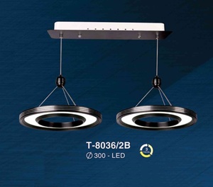 Đèn thả led T8036/2B