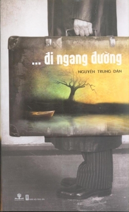 Đi ngang đường - Nguyễn Trung Dân