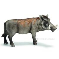 Mô hình Lợn lòi Schleich 14611