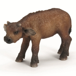 Mô hình Trâu rừng Châu Phi con Schleich 14641