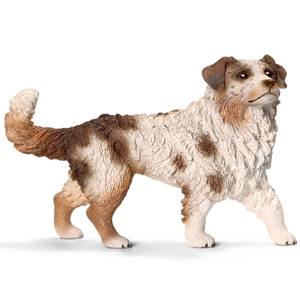 Mô hình Chó Australian Shepherd con Schleich 16393