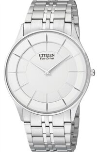 Đồng hồ Citizen Eco-Drive AR3010-65A