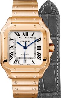 Đồng hồ nam Cartier Santos De Cartier WGSA0007