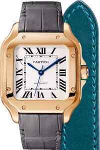 Đồng hồ nam Cartier Santos De Cartier WGSA0012