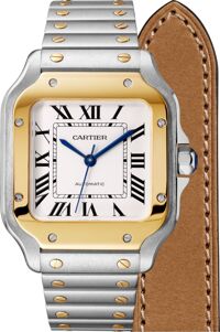 Đồng hồ nam Cartier Santos De Cartier W2SA0007