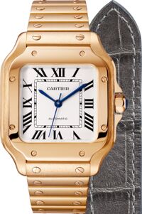 Đồng hồ nam Cartier Santos De Cartier WGSA0008