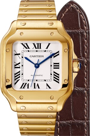 Đồng hồ nam Cartier Santos De Cartier WGSA0010