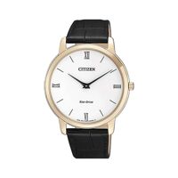 Đồng hồ nam Citizen AR1133-23A