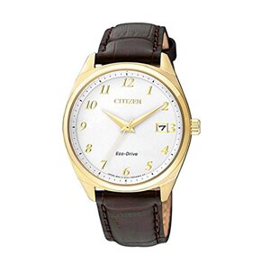 Đồng hồ nam Citizen EO1172-05A