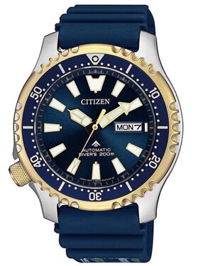 Đồng hồ nam Citizen NY0096-12L