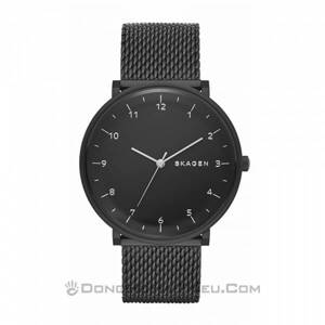 Đồng hồ nam dây kim loại skagen SKW6171