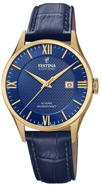 Đồng hồ nam Festina F20010