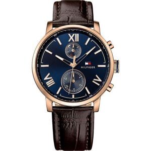 Đồng hồ nam Hilfiger 1791308