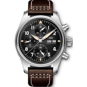 Đồng hồ nam IWC IW387903