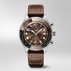 Đồng hồ nam IWC IW395003