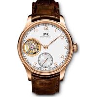 Đồng hồ nam IWC IW546302