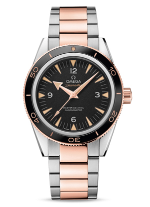 Đồng hồ nam Omega Seamaster 233.20.41.21.01.001