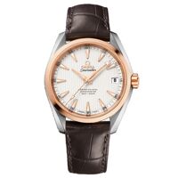 Đồng hồ nam Omega Seamaster Aqua Terra 231.23.39.21.02.001