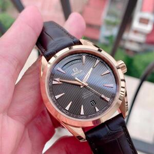 Đồng hồ nam Omega Seamaster Aqua Terra  231.53.42.22.06.001