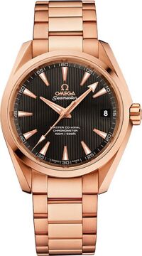 Đồng hồ nam Omega Seamaster Aqua Terra 231.50.39.21.06.003