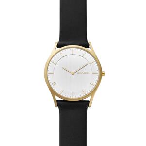 Đồng hồ nam Skagen SKW6246