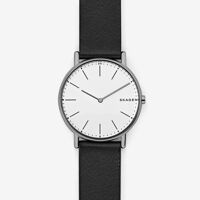 Đồng hồ nam Skagen SKW6419