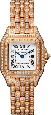 Đồng hồ nữ Cartier Panthère De Cartier HPI01131 Watch 30 x 22