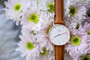 Đồng hồ nữ Daniel Wellington DW00100172