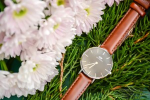 Đồng hồ nữ Daniel Wellington DW00100181